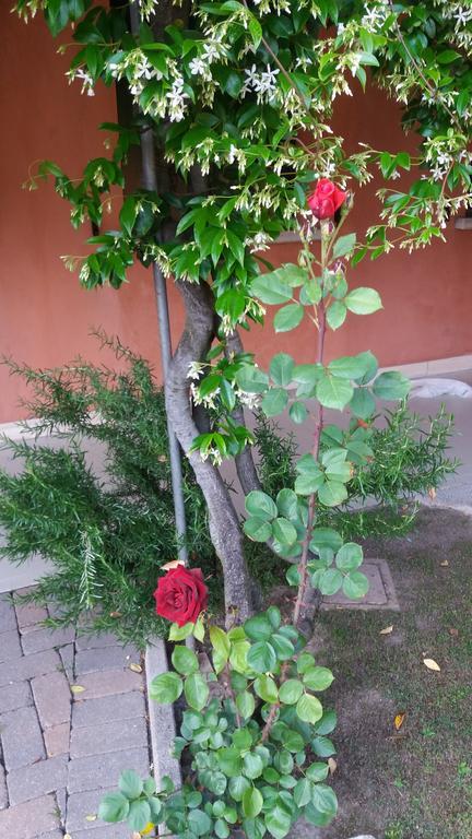 Dreon B&B Portogruaro Ngoại thất bức ảnh